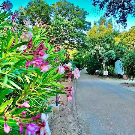 Kemping Les Ilots D'or Porto-Vecchio