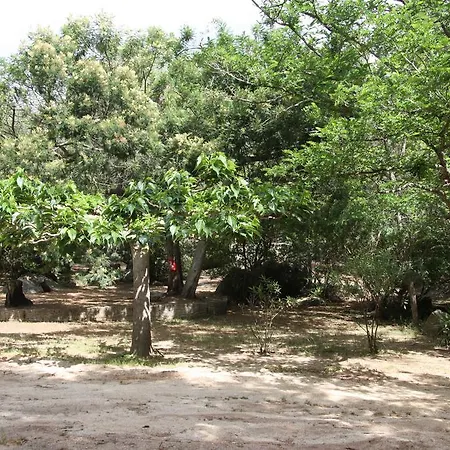 Les Ilots D'or אתר קמפינג פורטו-וישיו