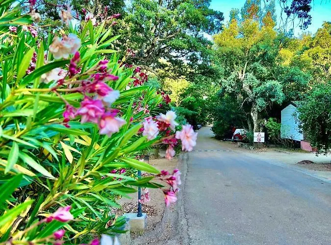 Campingplatz Les Ilots D'or Porto-Vecchio (Corsica)