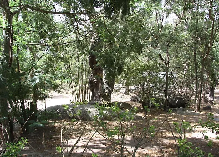 Les Ilots D'or Porto-Vecchio (Corsica)